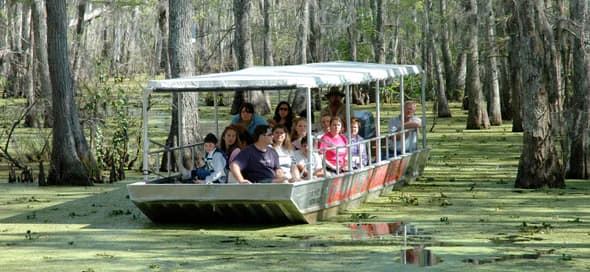Guests riding a tour boat between cypress trees.