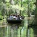 A tour boat full of passengers in a Louisiana swamp.