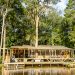 A house with a wooden dock sitting on the edge of the Louisiana swamp.